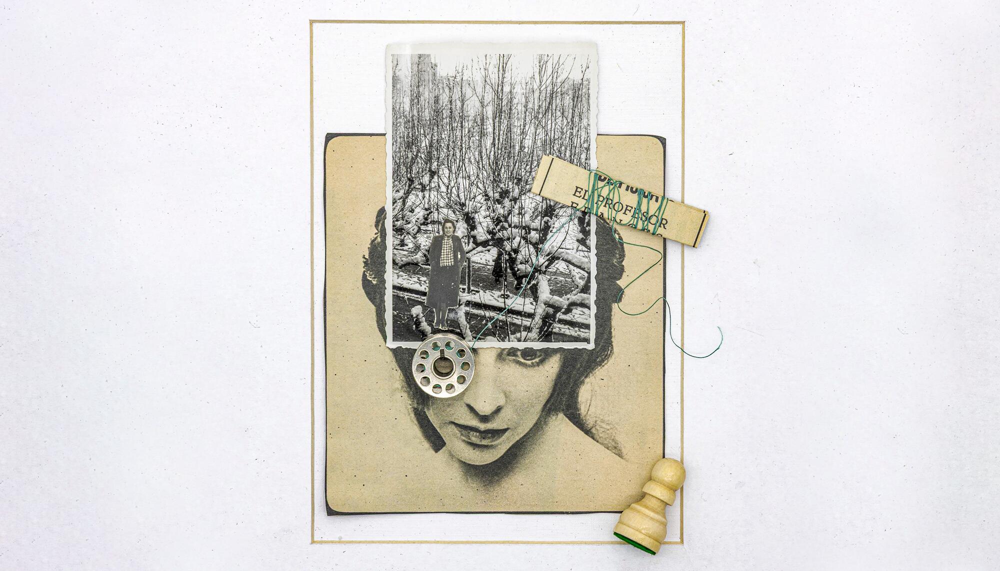 Alerces, Mirada de Mujer para En Saco Roto